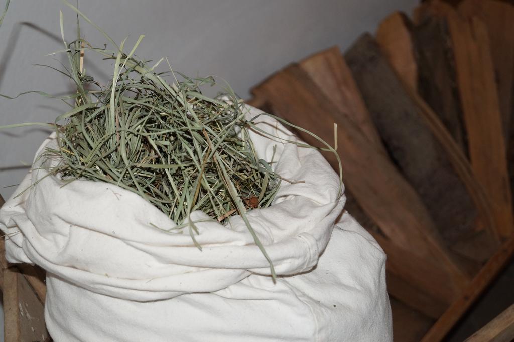 Hotel Zum Hasen Terento Ngoại thất bức ảnh